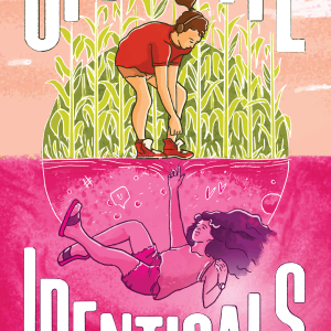 Opposite Identicals